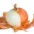 onion